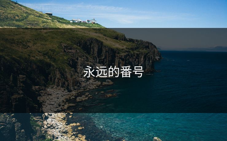 永远的番号