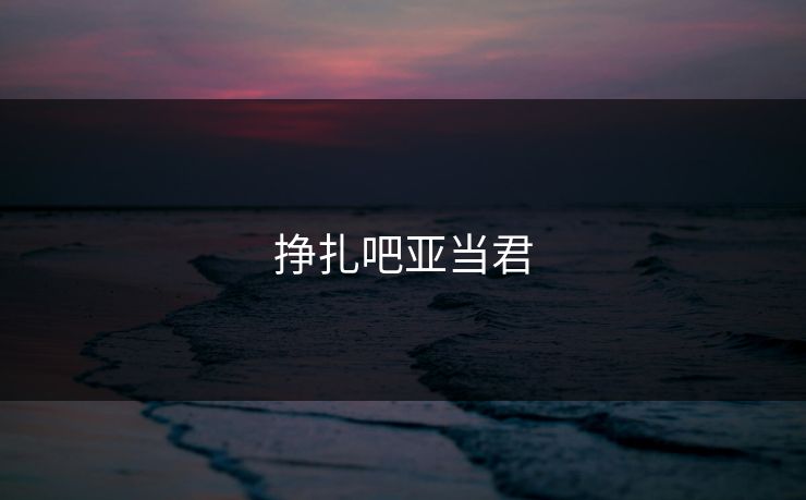 挣扎吧亚当君