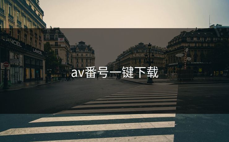 av番号一键下载