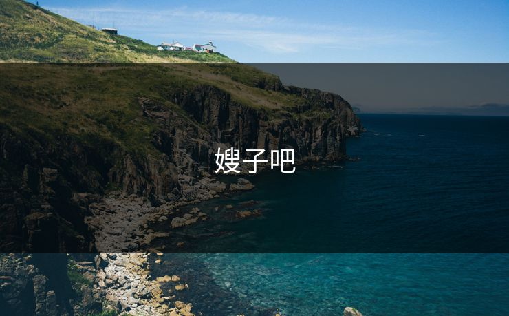 嫂子吧