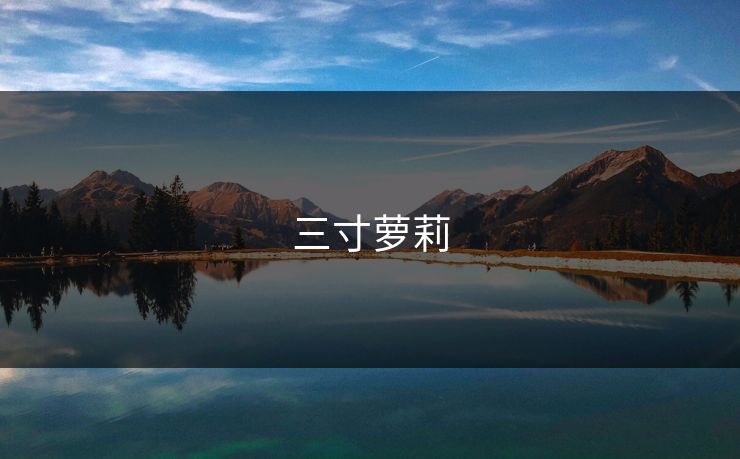 三寸萝莉