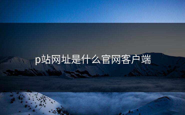 p站网址是什么官网客户端