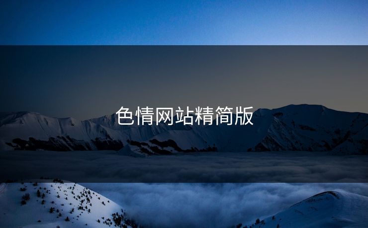 色情网站精简版