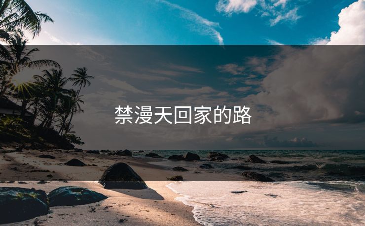 禁漫天回家的路