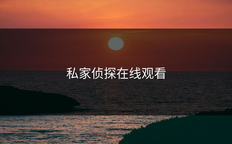 私家侦探在线观看