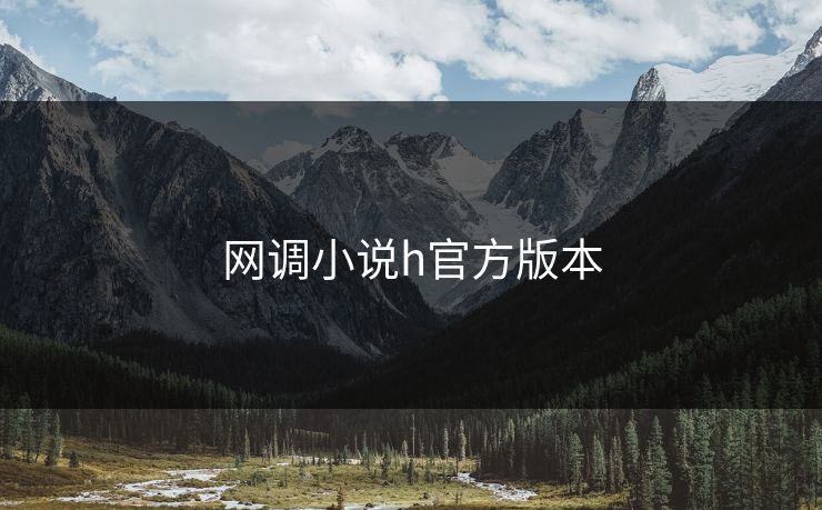 网调小说h官方版本