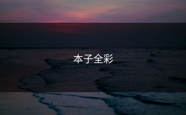 本子全彩