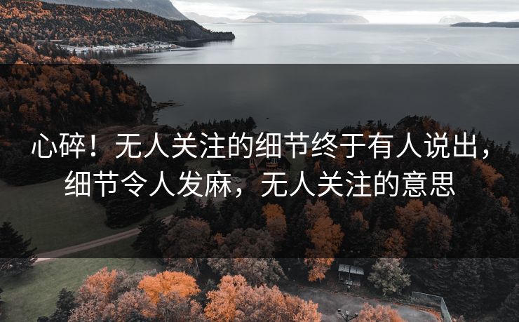 心碎！无人关注的细节终于有人说出，细节令人发麻，无人关注的意思